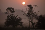Sunrise in rural northern Bangladesh