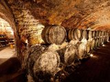 800 year old wine cellars