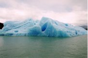 Lake Argentina icebergs