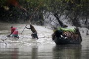Fishermen in the Sundarbans, Bangladesh