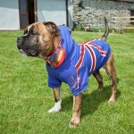 Donna Condliffe who runs Canine and Co. Pictured With buster the British bull dog cross in one of the jubilee outfits.